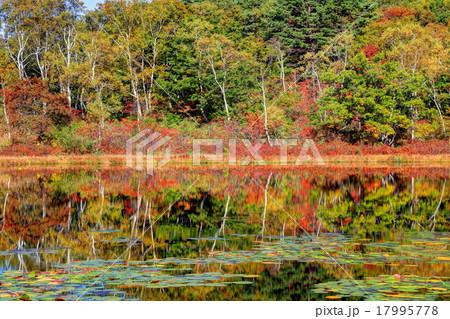 志賀高原　一沼 17995778