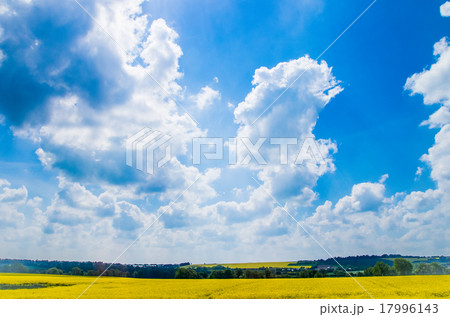 ノルマンディの青空 17996143