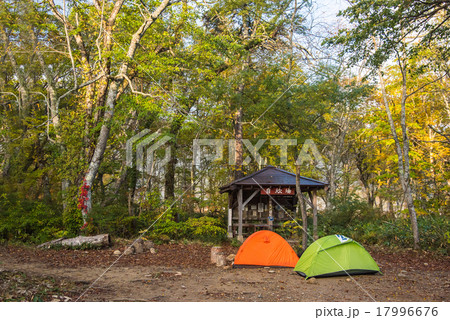 尾瀬　山の鼻　幕営地 17996676