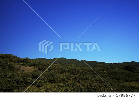 山の辺の道 秋景色 山の辺の道 秋景色 17996777