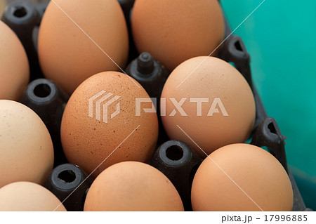 fresh organic eggs from chicken farm agriculture 17996885