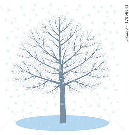冬木立と雪 17996941