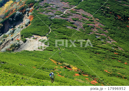 東天井岳付近から見る常念岳への登山道 東天井岳付近から見る常念岳への登山道 17996952