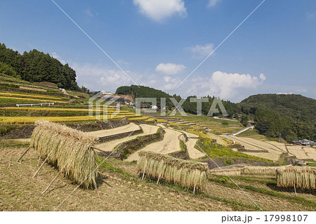 波佐見 鬼木の棚田 波佐見 鬼木の棚田 17998107