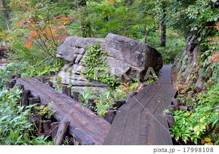 木道をふさぐ岩 尾瀬 木道をふさぐ岩 尾瀬 17998108