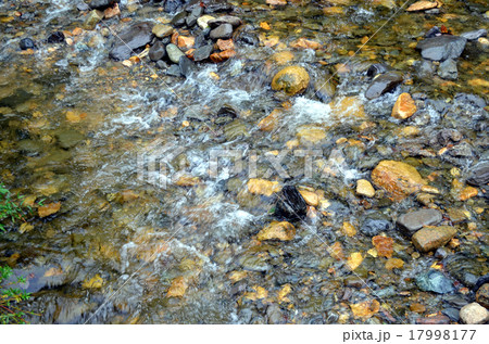 尾瀬の清流 川上川 尾瀬の清流 川上川 17998177
