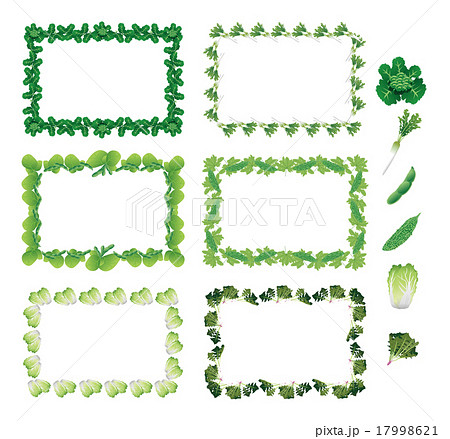 野菜フレーム 四角 ブロッコリー 大根 枝豆 ゴーヤ 白菜 ホウレンソウ のイラスト素材
