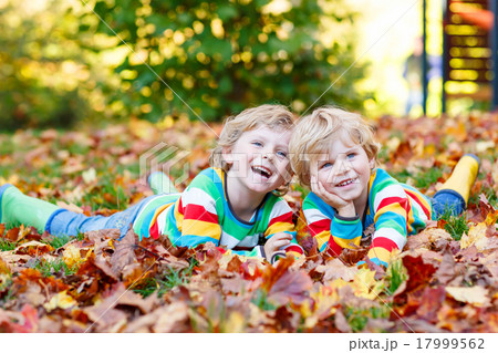Two little kid boys laying in autumn leaves 17999562