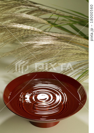 月見酒イメージ 18000560