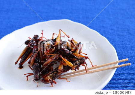 いなごの佃煮♪ 18000997