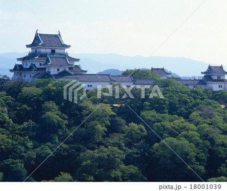 和歌山城「日本100名城」「国指定史跡」 和歌山城「日本100名城」「国指定史跡」 18001039