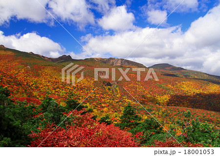 安達太良山の紅葉 18001053