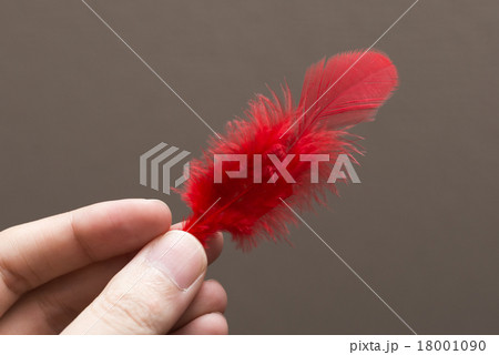 赤い羽根 18001090