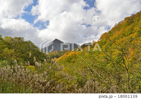 岩子岳の秋 岩子岳の秋 18001139