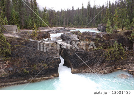 カナディアンロッキー　ヨーホー国立公園のナチュラルブリッジ 18001459