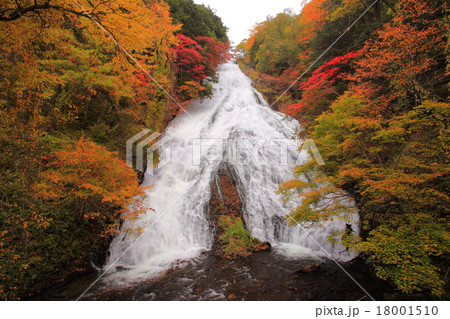 湯滝　紅葉　 18001510