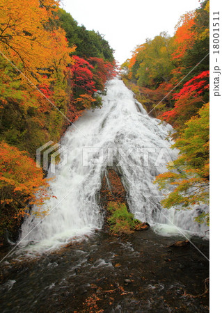 湯滝 紅葉 湯滝 紅葉 18001511