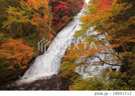湯滝　紅葉　 18001512