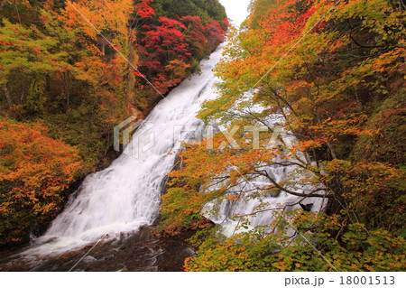 湯滝　紅葉　 18001513