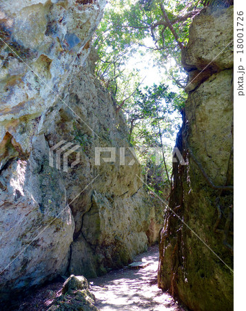 サビチ洞遊歩道 18001726