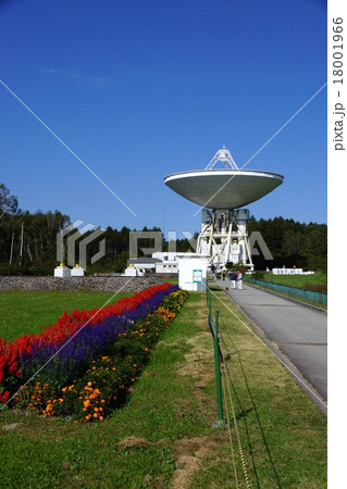 パラボラ アンテナ 野辺山 宇宙 国立天文台とサルビア (信州野辺山高原矢出川公園) パラボラ アンテナ 野辺山 宇宙 国立天文台とサルビア (信州野辺山高原矢出川公園) 18001966