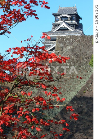 秋の熊本城 18003101