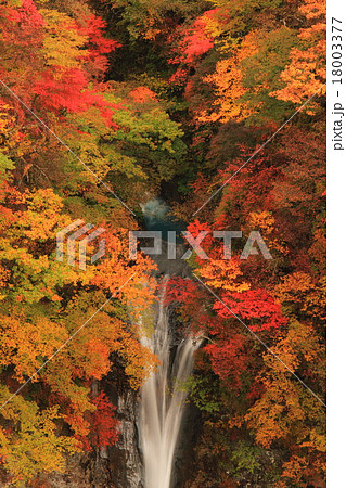 駒止の滝 18003377