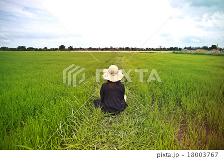 Female farmer sitting among rice fields 18003767