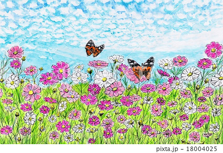 蝶　絵画　コスモス　水彩画 hq720.jpg?sqp=-