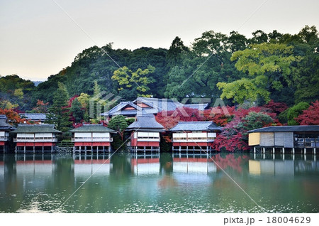 八条ヶ池 長岡天満宮 18004629