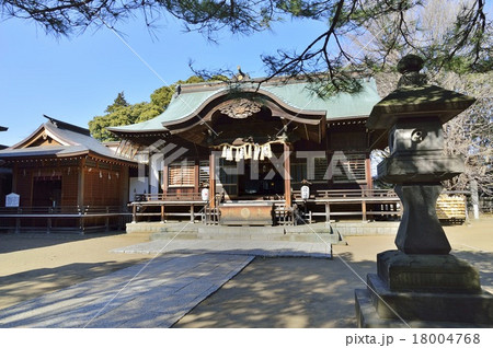 葛飾八幡宮 葛飾八幡宮 18004768