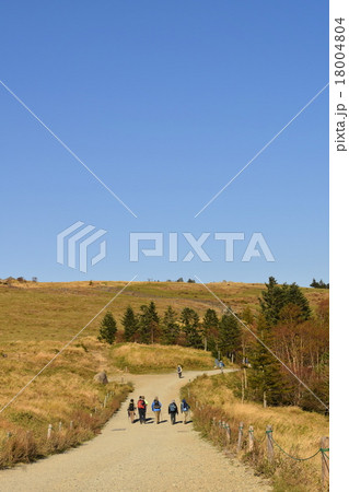 高原とトレッキングの人々 18004804