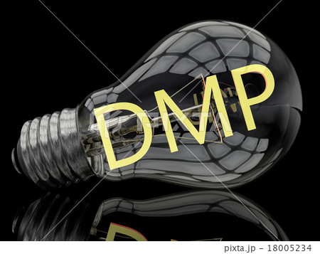 DMP Concept DMP Concept 18005234