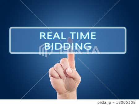 Real Time Bidding 18005308