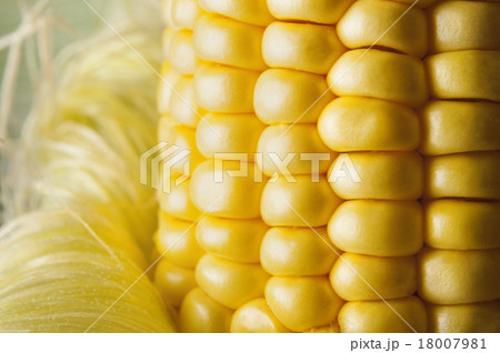 corn on white background 18007981