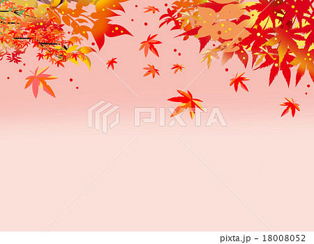 紅葉の空 18008052