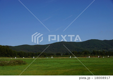 パラボラ アンテナ 野辺山 宇宙 国立天文台 （信州野辺山高原矢出川公園） 18008917