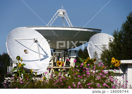 パラボラ アンテナ 野辺山 宇宙 国立天文台と秋桜 （信州野辺山高原矢出川公園） 18009744