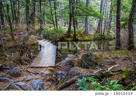 上高地　自然研究路 18010339