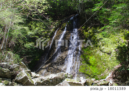 七種の滝（なぐさのたき）の滝下にある八龍滝の新緑風景「近畿観光百景」「兵庫県指定名勝」「兵庫県八景」 18011389