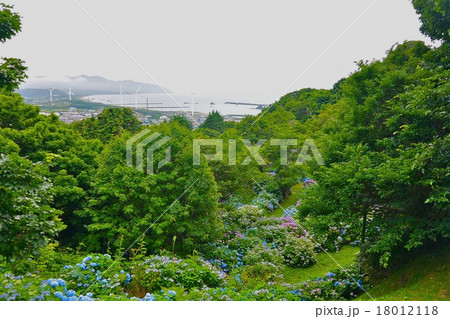 海を臨むあじさい広場 海を臨むあじさい広場 18012118