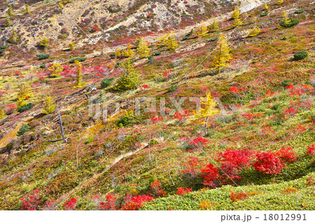 渋峠 紅葉シーズンの芳が平の風景 渋峠 紅葉シーズンの芳が平の風景 18012991