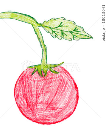 Tomato fruit isolated coloring page for kids Vector Image