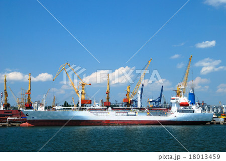 Port warehouse with cargoes and containers 18013459