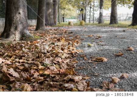 Autumn in the city 18013848