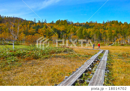 秋晴れの紅葉シーズンの志賀高原 田の原湿原 秋晴れの紅葉シーズンの志賀高原 田の原湿原 18014702