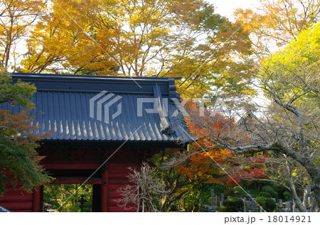 紅葉に包まれる妙本寺二天門（神奈川県鎌倉市） 18014921