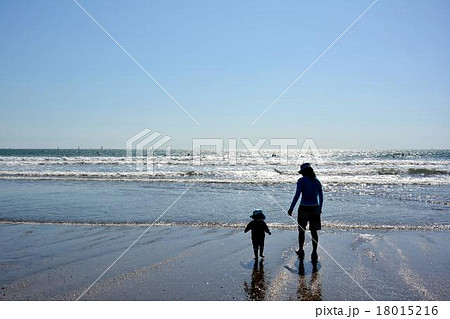 渚の親子 渚の親子 18015216