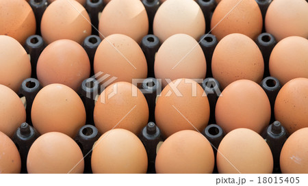 fresh organic eggs from chicken farm agriculture 18015405