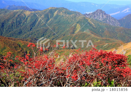 上越国境・朝日岳付近から清水峠・大源太山を望む 18015856